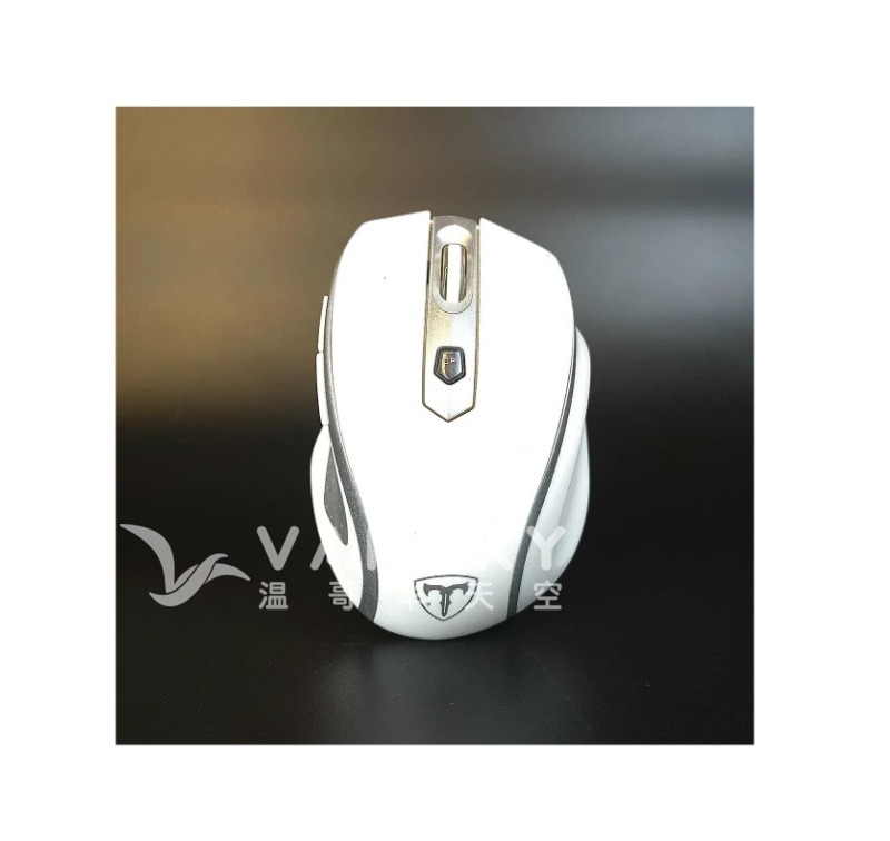 240415102613_D-09 mouse.jpg